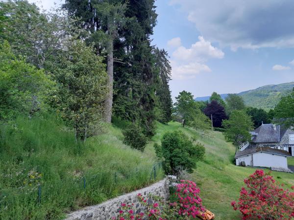 DOMAINE ET DEPENDANCES AUX "PORTES D' AURILLAC" SUR TERRAIN BOISE DE 3 Ha