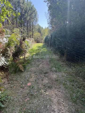 TROP TARD, VENDU!!!

Terrain de loisir de presque 1 500 m2, au milieu d'une grande forêt sur les hauteurs de Fossemagne. Avec Clairière et chemin carrossable. Borné et entièrement clôturé.
