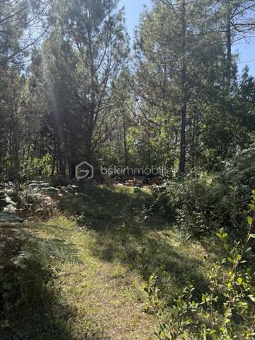 TROP TARD, VENDU!!!

Terrain de loisir de presque 1 500 m2, au milieu d'une grande forêt sur les hauteurs de Fossemagne. Avec Clairière et chemin carrossable. Borné et entièrement clôturé.