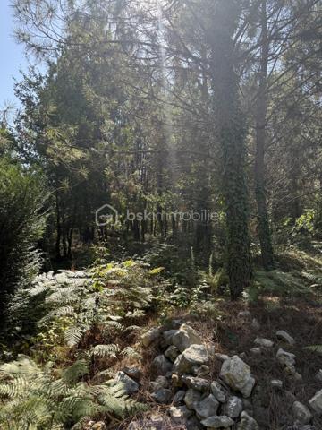 TROP TARD, VENDU!!!

Terrain de loisir de presque 1 500 m2, au milieu d'une grande forêt sur les hauteurs de Fossemagne. Avec Clairière et chemin carrossable. Borné et entièrement clôturé.