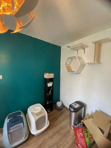 Essey Appartement rénové de 88m2 avec balcon, garage et caves. 159K€