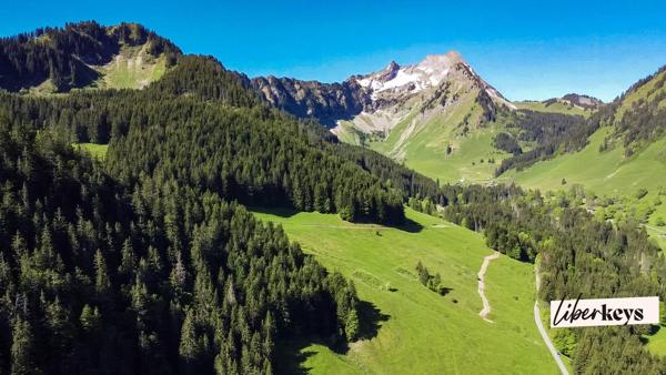 Rare à la vente| Chalet d’alpage| Portes du Soleil