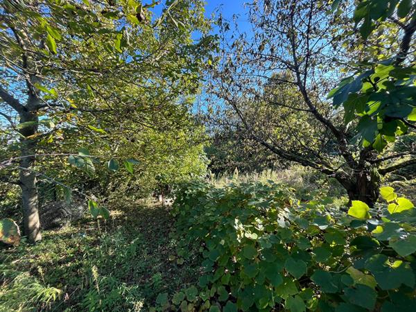 Maison VILLEBON SUR YVETTE 10 pièces 260 m²