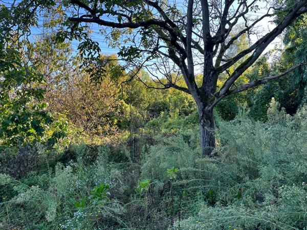 Maison VILLEBON SUR YVETTE 10 pièces 260 m²