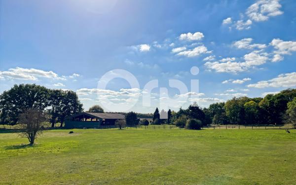 Maison à vendre    7 pièces •  Guichainville