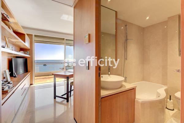 Appartement 7 pièces - 268 m² Bien prestige