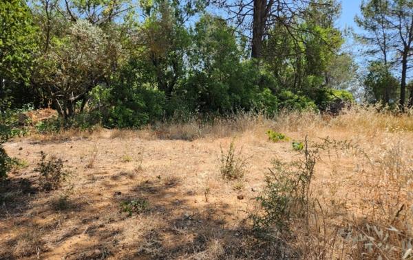 Vente Terrain Saint-maximin-la-sainte-baume   