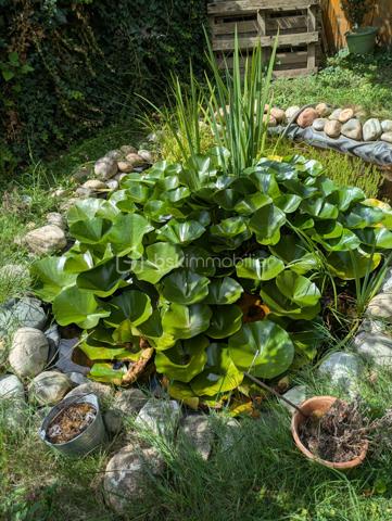 Maison de village de 135,78 m²