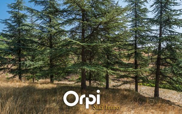 Maison à vendre    3 pièces •  Veyras