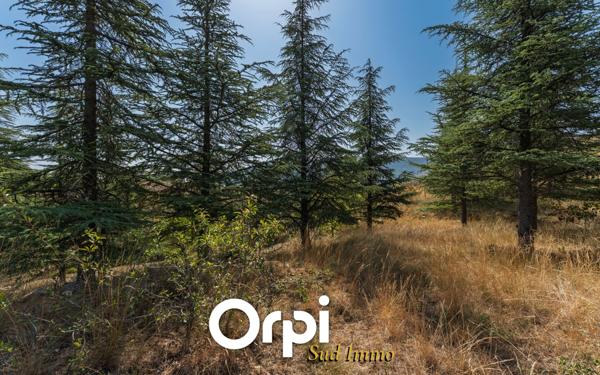 Maison à vendre    3 pièces •  Veyras