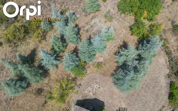 Maison à vendre    3 pièces •  Veyras