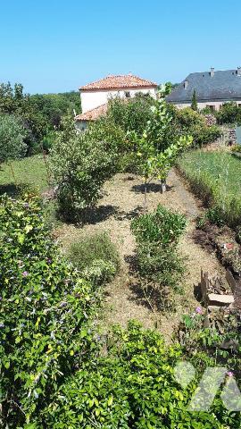  A VENDRE - A LIMOGNE-EN-QUERCY (LOT - 46260) - Maison mitoyenne située dans le bourg du villag...