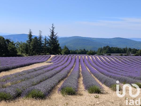 Maison à vendre 9 pièces 279 m² Saint-Étienne-les-Orgues