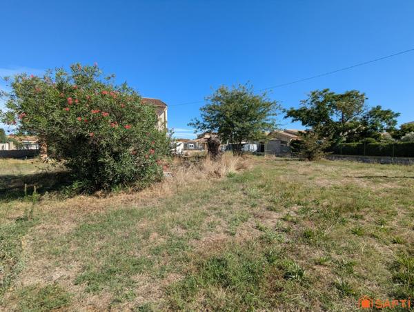 Maison à fort potentiel au cœur de la Petite Camargue