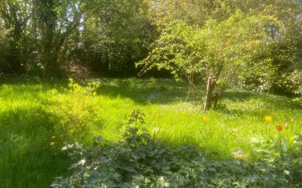 Maison à vendre    4 pièces •  Palaiseau