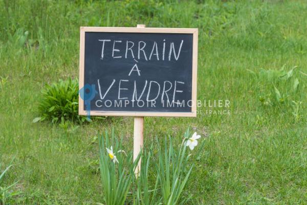 Terrain