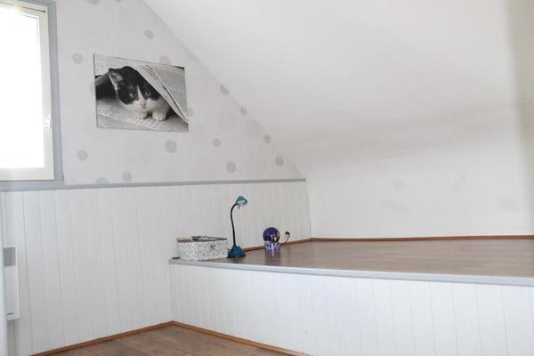 Côtes d'Armor 22190 Plérin maison d'architecte 7 chambres, sous-sol total, terrasse exposée Sud, terrain