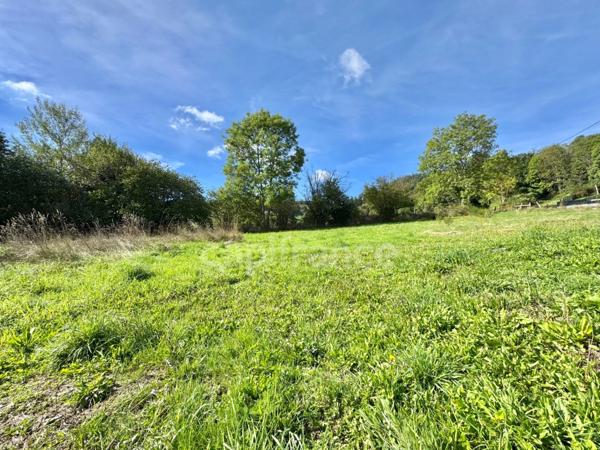 MAISON 100 M2, 2095 M2 DE TERRAIN DONT 1685 M2 À BATIR, 2 CHAMBRES, 1 BUREAU, DÉPENDANCES DE 45 M2, CHARPENTE/COUVERTURE OK, TOUT-À-L'ÉGOUT, DOUBLE VITRAGE PVC ET BOIS, TF 498€