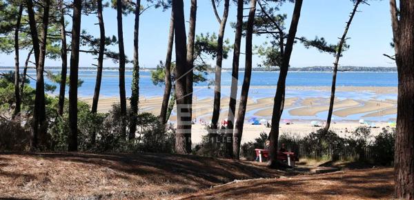 Terrain à vendre à Pereire -Arcachon : votre futur coin de paradis !