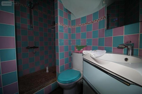 Maison à vendre à Le Plessis-Trévise dans le Val-de-Marne (94420), ref : 94029-257