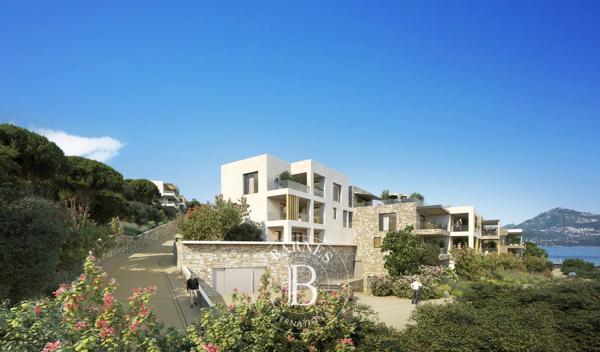 Programme neuf Calvi