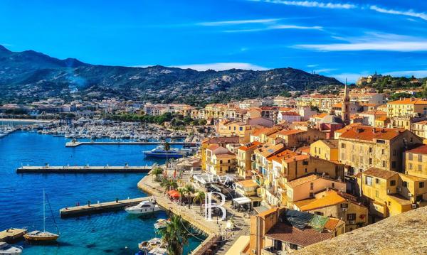 Programme neuf Calvi