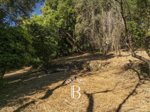 Bastia, Terrain constructible  4 000 m² à vendre