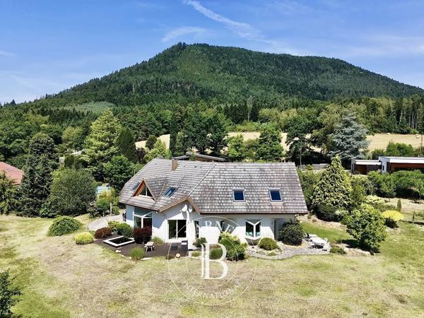 Saulcy-sur-Meurthe, Maison 4 Chambres -  306 m² à vendre