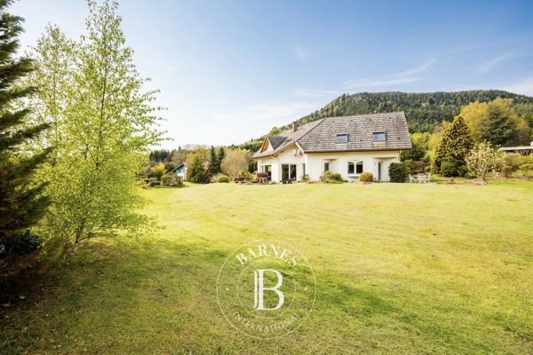 Saulcy-sur-Meurthe, Maison 4 Chambres -  306 m² à vendre