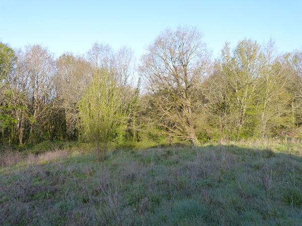 Terrain Champcevinel 1503 m2