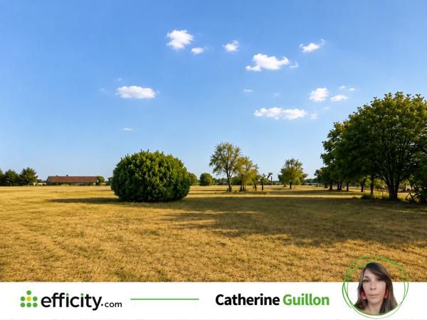 Terrain
        
        - 1500 m² 23 000 € *