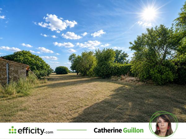 Terrain
        
        - 1500 m² 23 000 € *