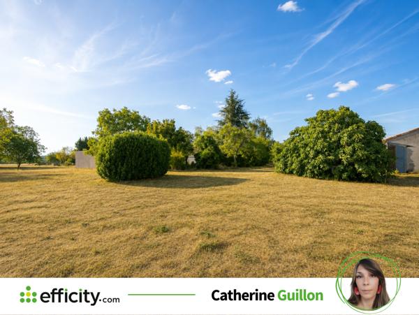 Terrain
        
        - 1500 m² 23 000 € *