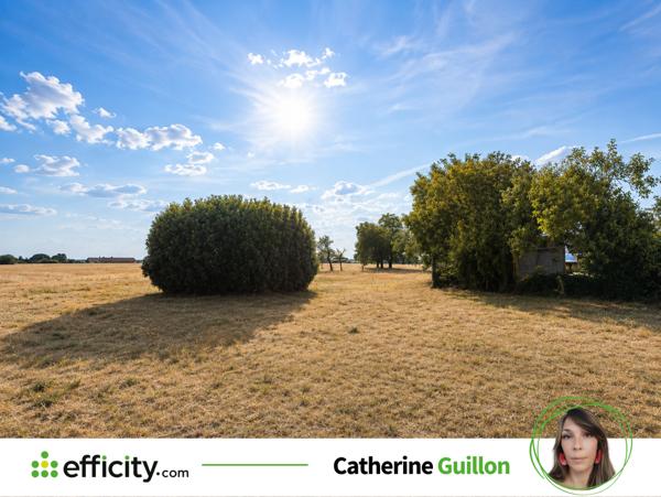 Terrain
        
        - 1500 m² 23 000 € *