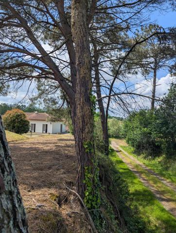 Vente / Maison avec dépendance