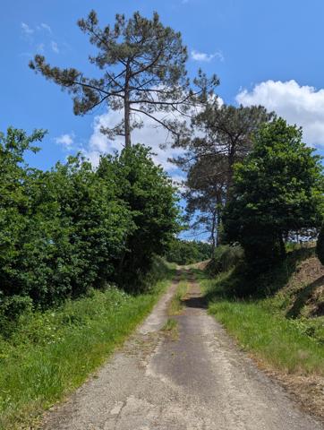 Vente / Maison avec dépendance