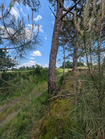 Vente / Maison avec dépendance