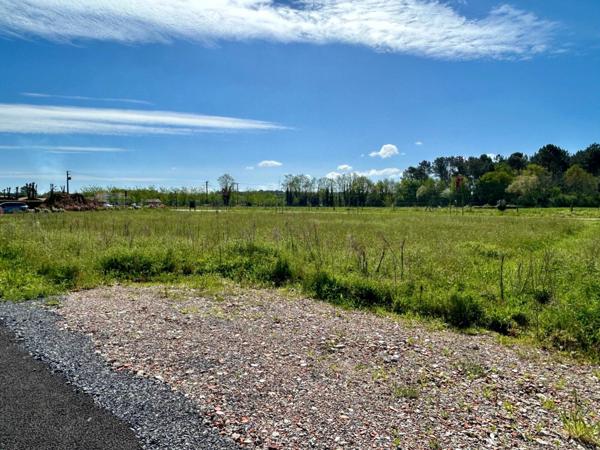 Terrain à vendre    Saubion