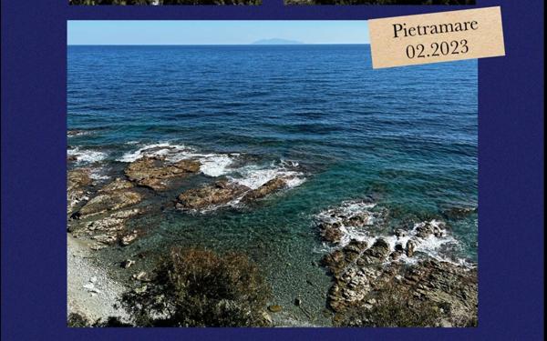Appartement à vendre    5 pièces •    San-Martino-di-Lota
