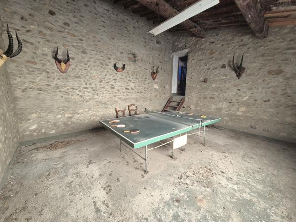 Grande maison de village avec extérieur et garage !