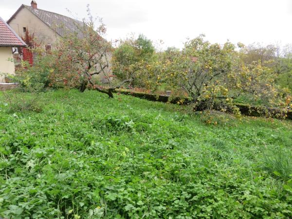 Maison à vendre 9 pièces de 218 m² plus 230 m² de dépendances à HOSTIAS (01) sur un terrain de 2359 m²