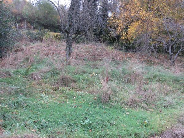 Maison à vendre 9 pièces de 218 m² plus 230 m² de dépendances à HOSTIAS (01) sur un terrain de 2359 m²