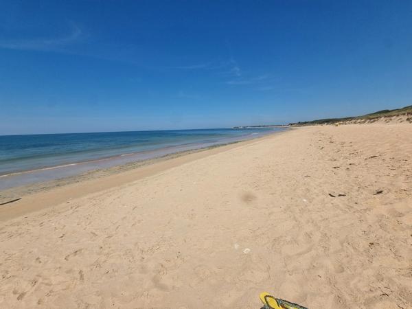 EXCLUSIVITÉ ST-GEORGES D'OLERON (17) Très beau terrain constructible 3.060m² emplac N°1 à 300mt plage côte Ouest