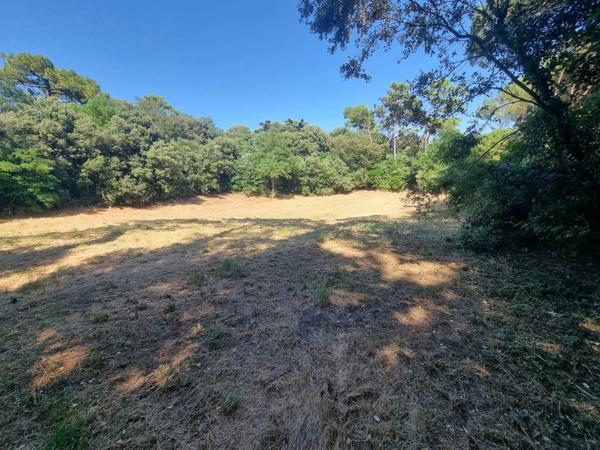 EXCLUSIVITÉ ST-GEORGES D'OLERON (17) Très beau terrain constructible 3.060m² emplac N°1 à 300mt plage côte Ouest