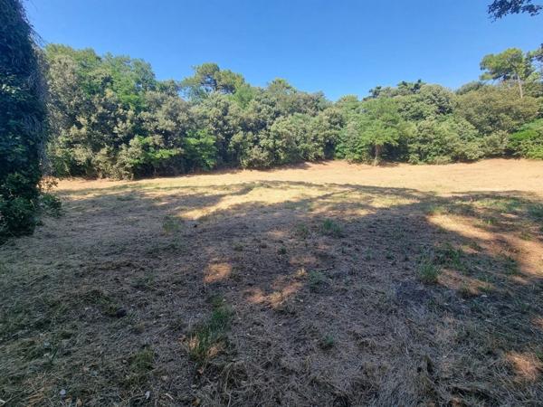 EXCLUSIVITÉ ST-GEORGES D'OLERON (17) Très beau terrain constructible 3.060m² emplac N°1 à 300mt plage côte Ouest