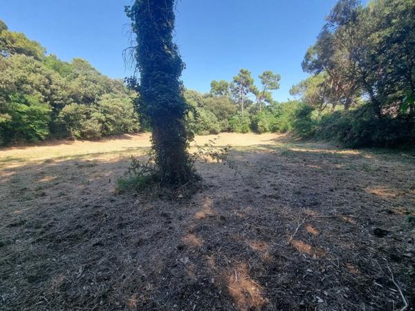 EXCLUSIVITÉ ST-GEORGES D'OLERON (17) Très beau terrain constructible 3.060m² emplac N°1 à 300mt plage côte Ouest