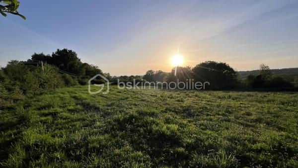 Terrain de 3 250 m²