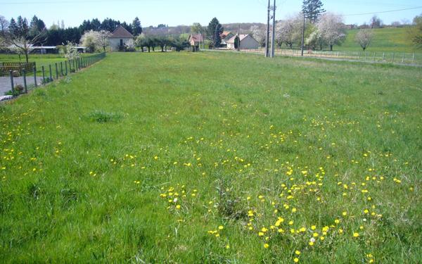 Terrain à vendre    Saint-Yrieix-la-Perche