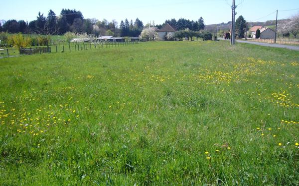Terrain à vendre    Saint-Yrieix-la-Perche