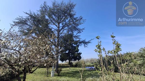 Vente                                                      Maison
                        
                     5 pièces                      111 m2                     à Avaray